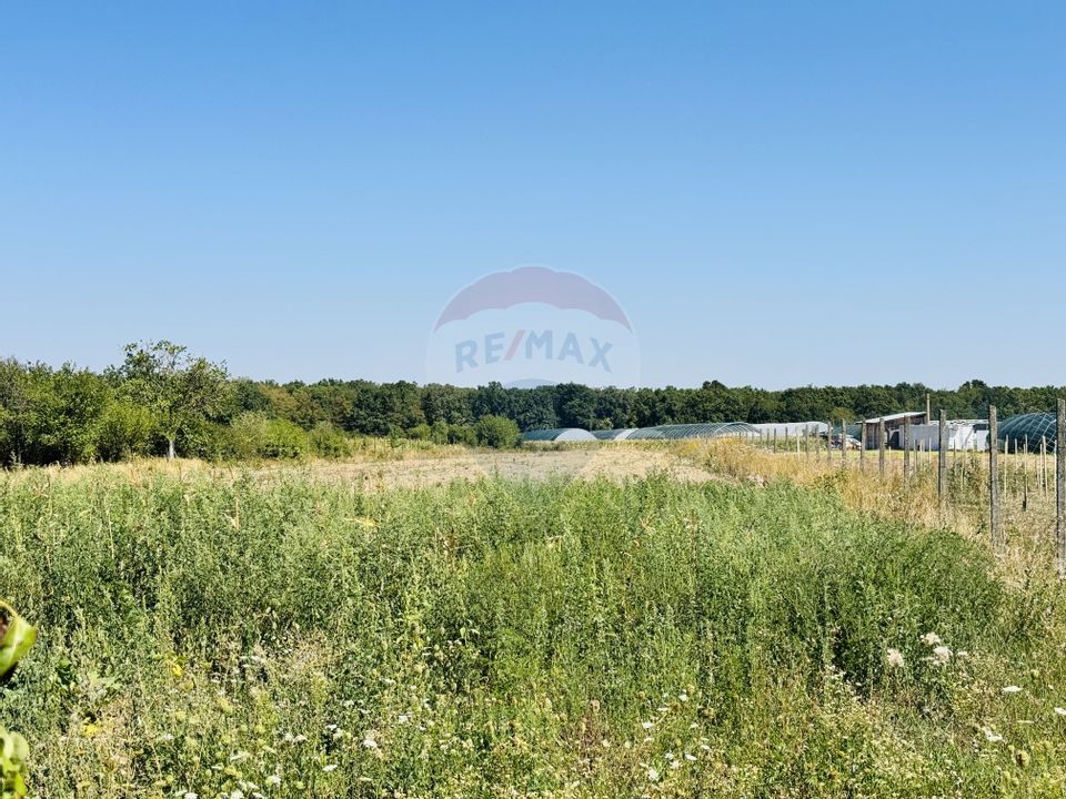 Teren 6,210mp Apateu / Strada Principala