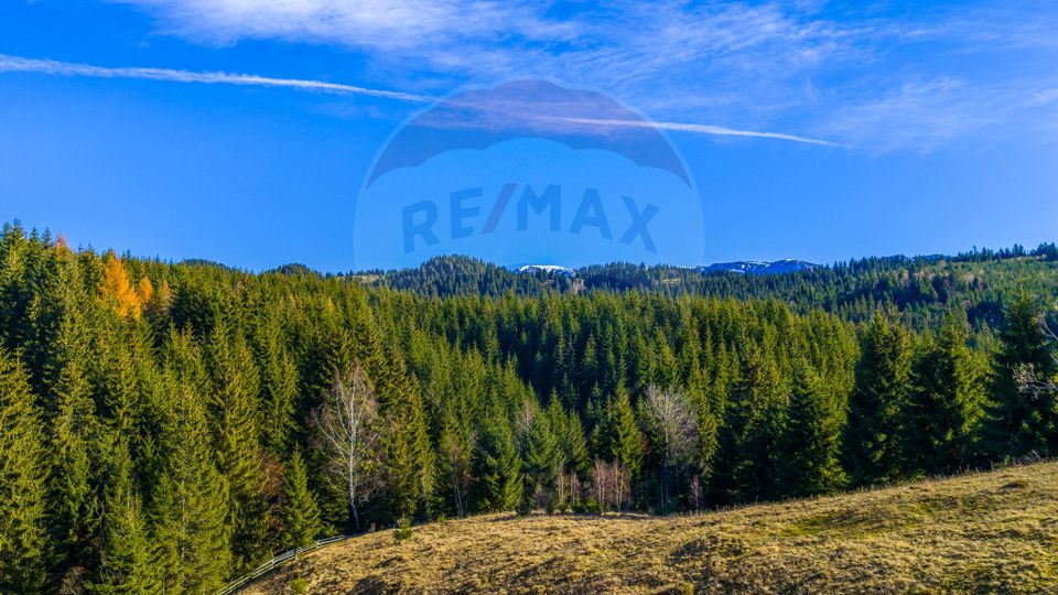 Land 13,800sqm Fundatica / Drumul FN