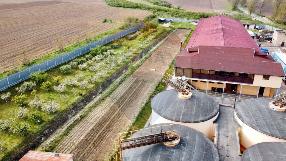 Crama din Buciumeni Afacere la cheie