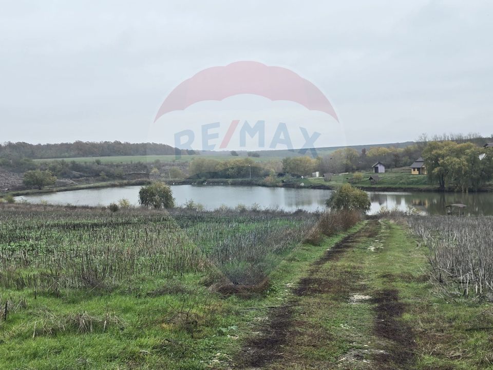 Land 129,700sqm Iepuresti / Strada Marin Preda
