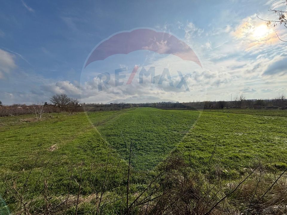 Land 7,094sqm Buftea / Strada Panselelor