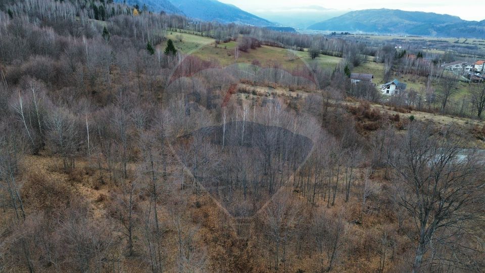 Casă / Vilă cu 7 camere   în zona Bran-Tohanita