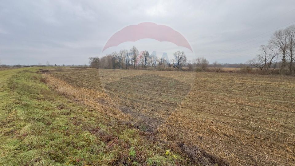 Land 3,600sqm Sacalaseni / Strada Râului