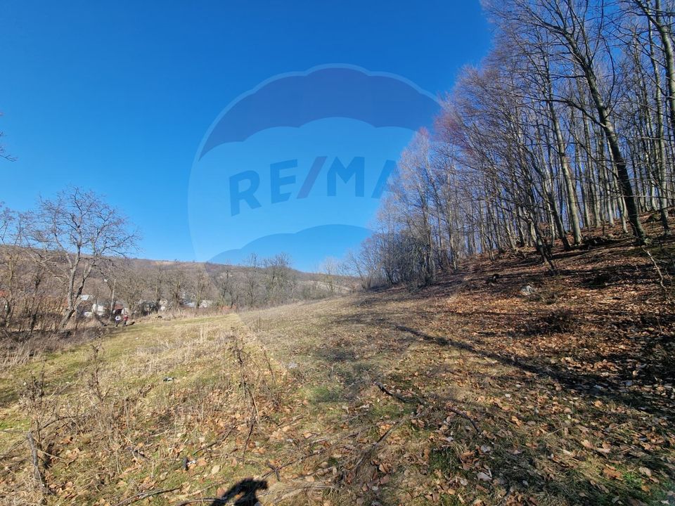 Land 4,985sqm Sascut / None