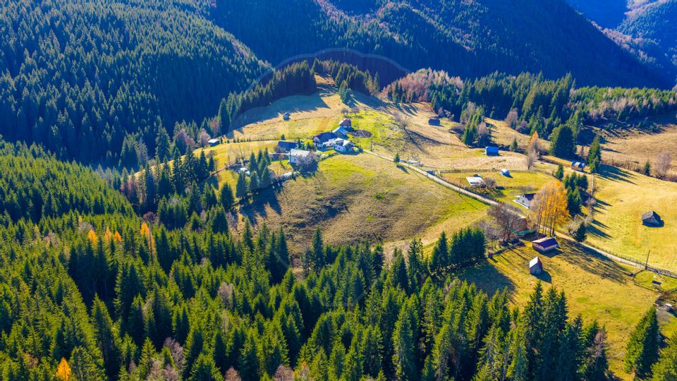 COMISION 0% Teren 13,800mp Fundatica / Intravilan