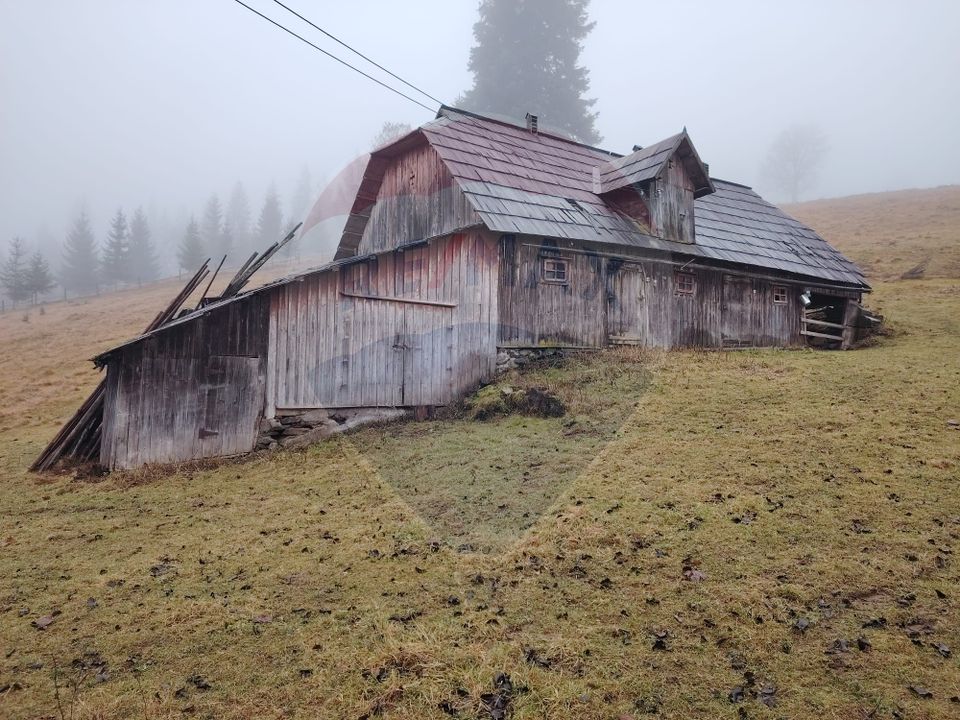 Teren intravilan 26232m.p.  Dorna-Arini / Cozănești