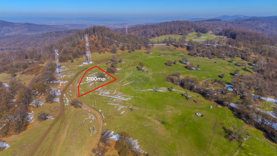 COMIISION 0% Teren cu vedere spectaculoasă – 3.100 mp Vlădeni