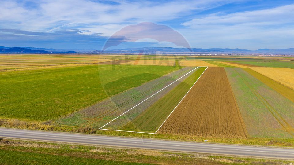 Teren 10,000mp Tarlungeni