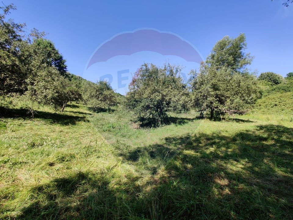 Land 3,718sqm Remetea Chioarului / Strada Principală