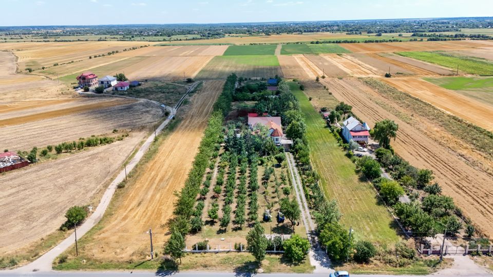 Casa+Laborator+ Teren 12.700 mp + casa de vacanta - Bolintin Vale