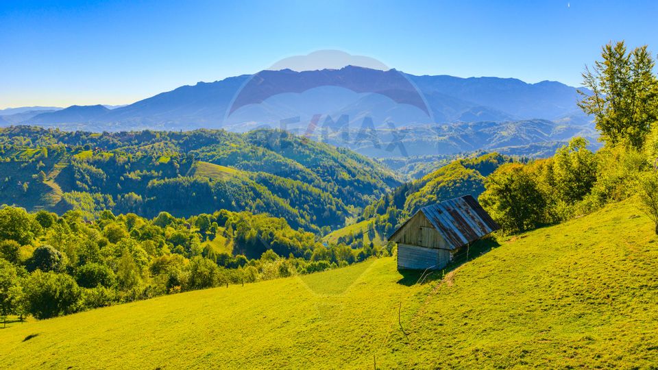 COMISION 0% Teren 10,594mp Pestera /Intravilan