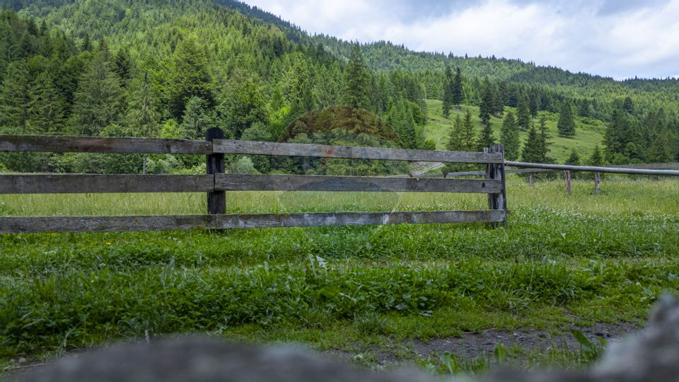 Fermă de vânzare, teren 21436 mp intravilan, Coșnea, Agăș