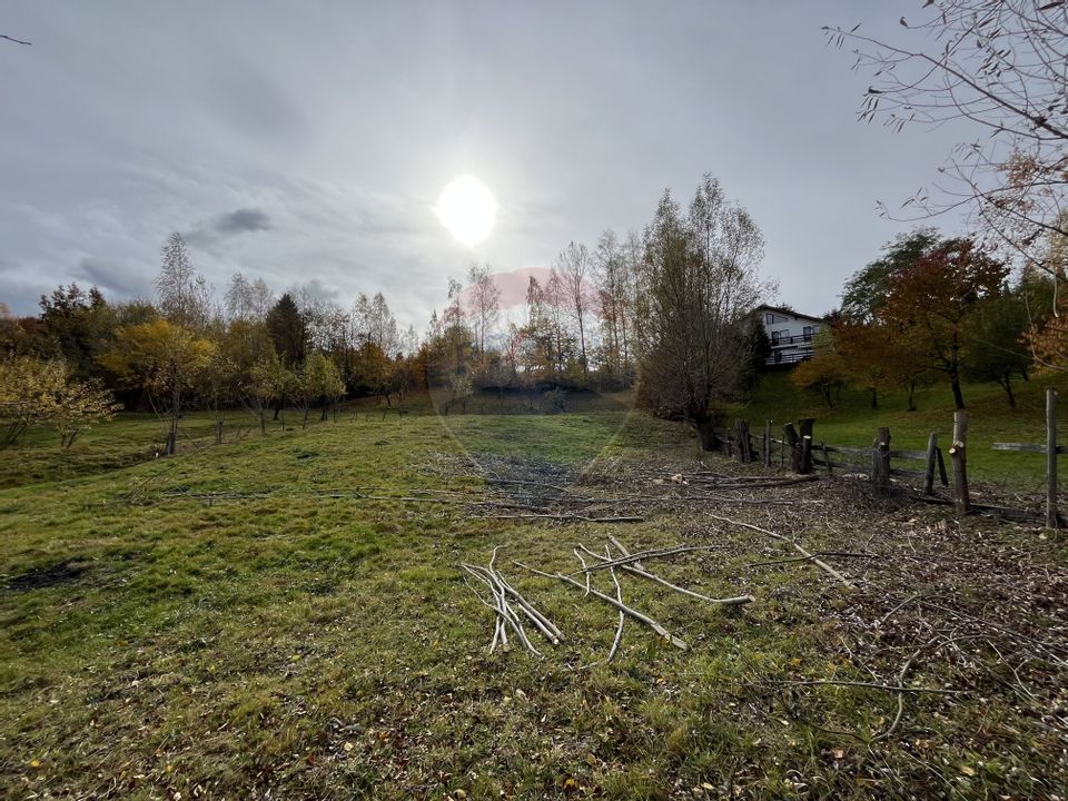 Teren de Vis în Bran – 1000mp Plat, Liniște Absolută și Aer Curat