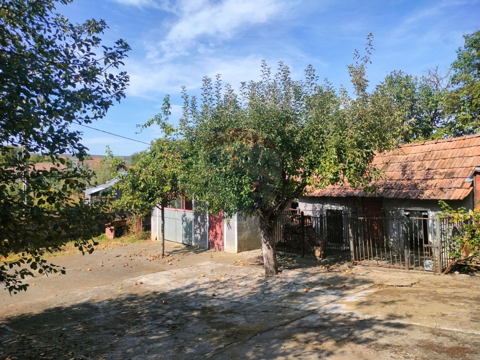 3 room House / Villa for sale