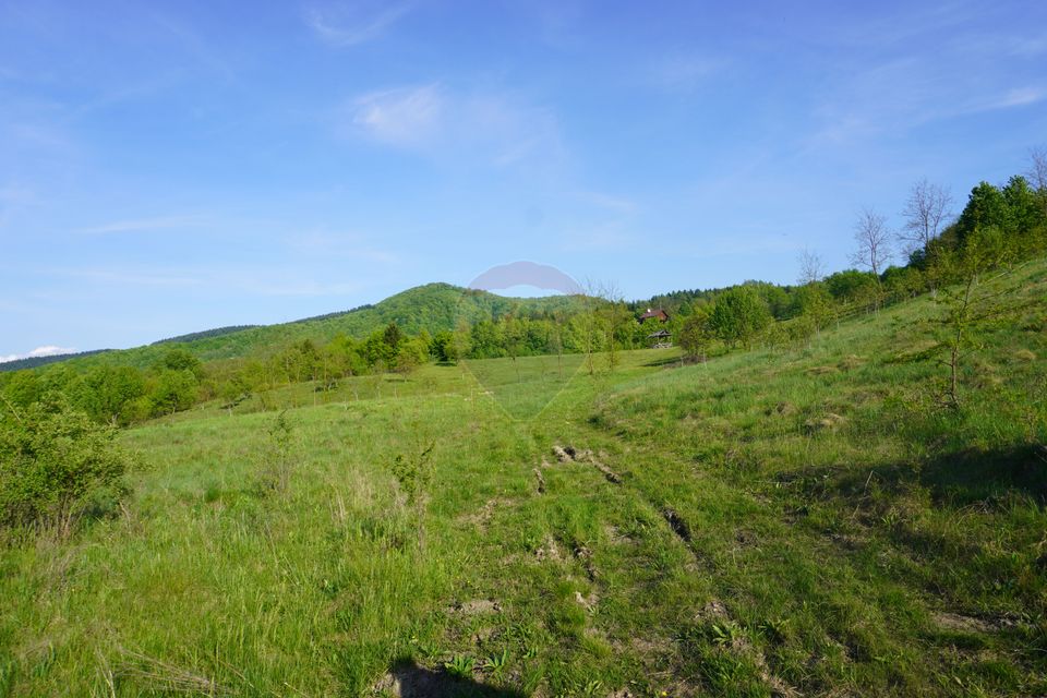 Land 38,592sqm Sighetu Marmatiei / Strada Mocăniței