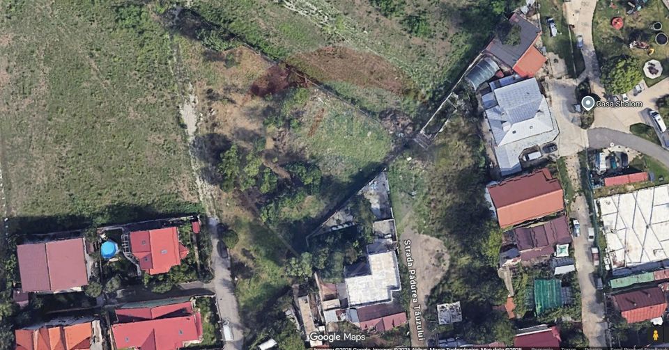 Land Entrarea Floarea Galbena, Zone M2