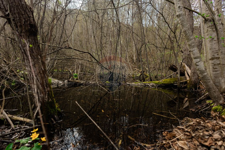 Proprietate unică în Tarcău – 30.283 mp intravilan, casă P+M