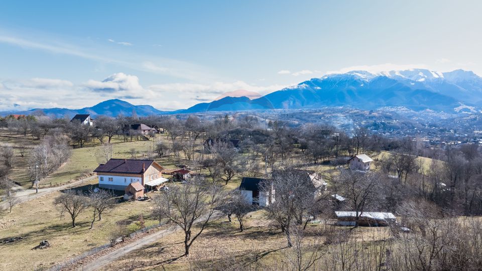 Land 1,260sqm Predelut / Strada Pe Tarina