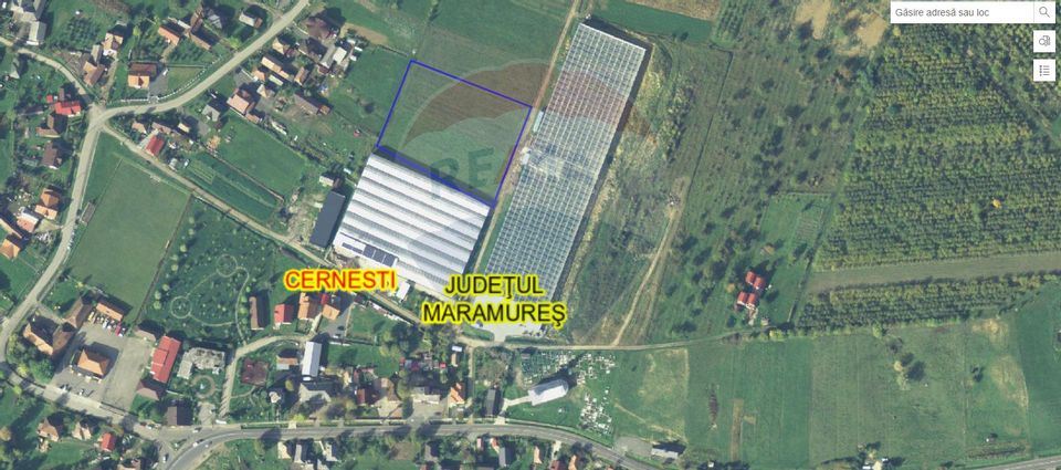 Land 7,600sqm Cernesti / Strada Principala