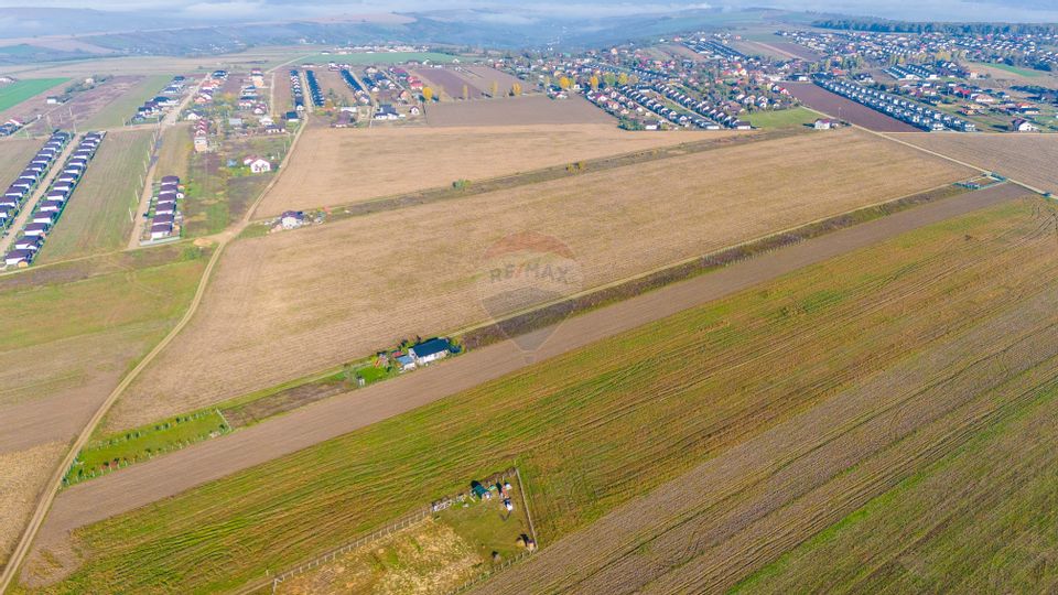 Teren 15,000mp Vorovesti / Strada Militari