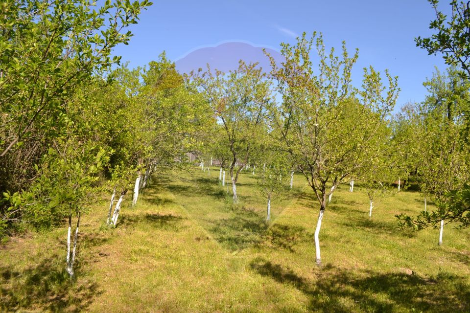 House / Villa for sale Picior de Munte, Dambovita