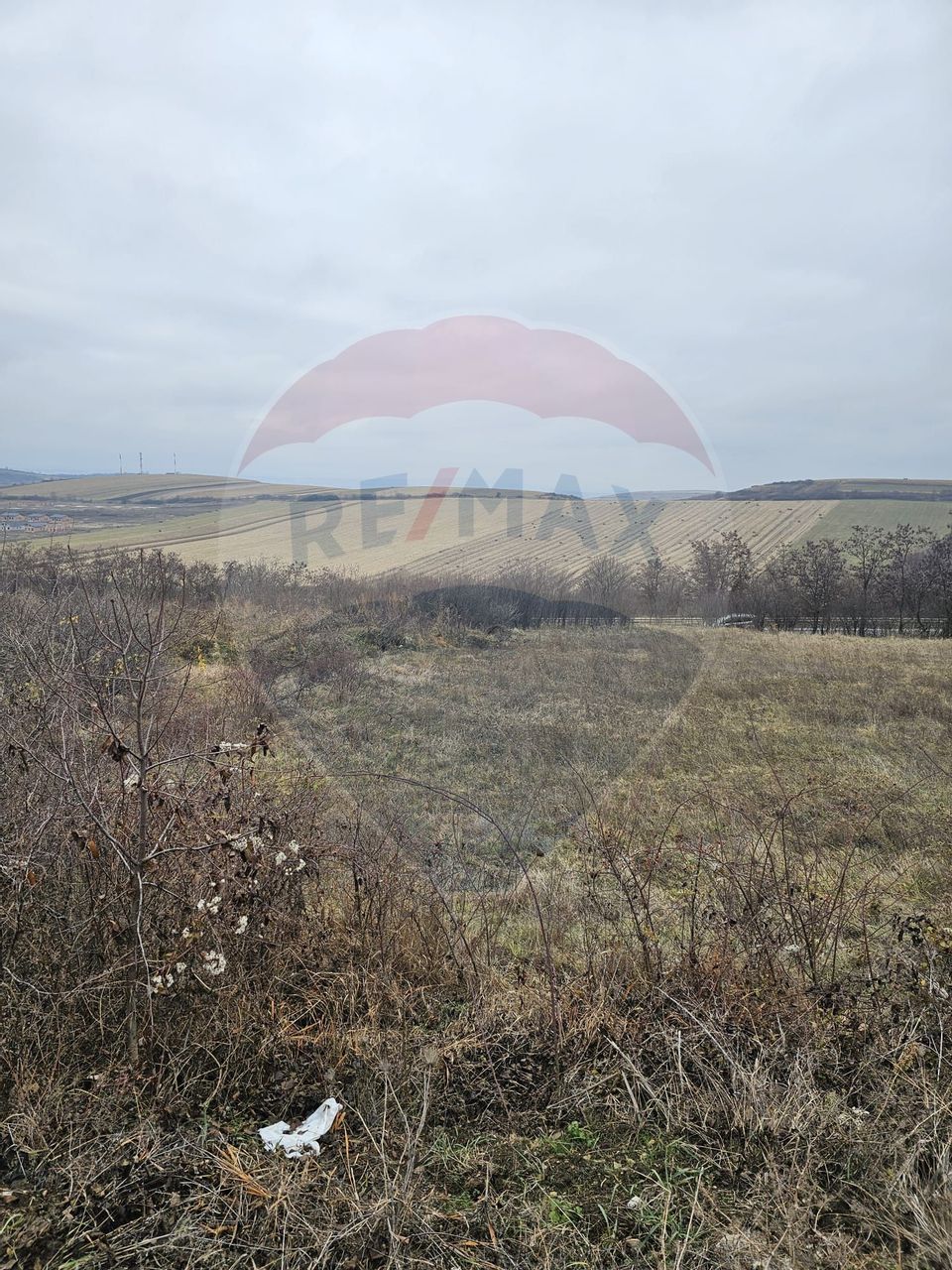 Land 1,000sqm Sura Mare / Strada Brazilor