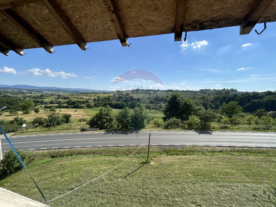 Vilă cu 9 camere de vânzare