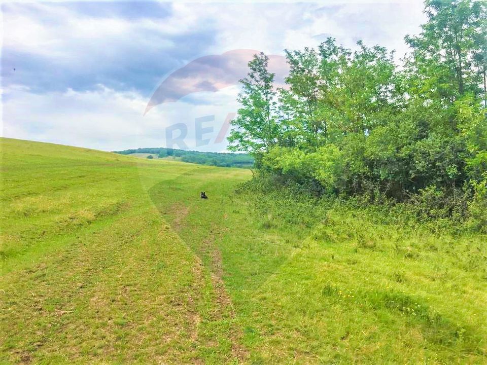 Land 11,900sqm Miercurea Sibiului / DJ 106F