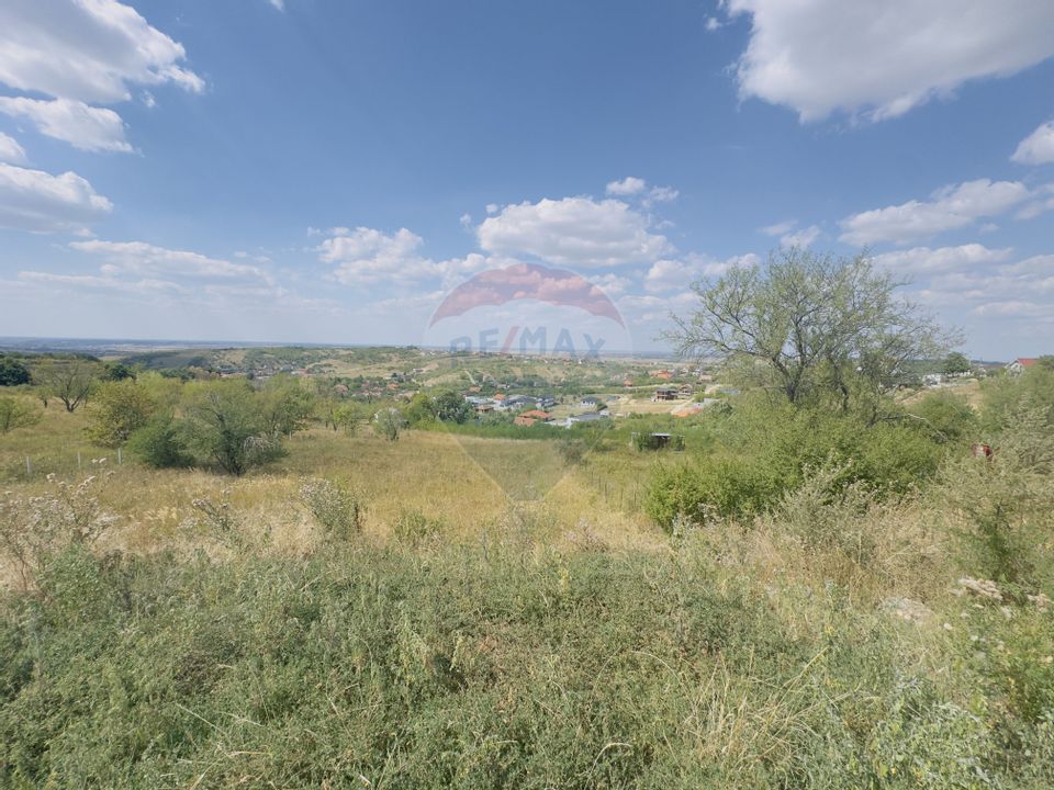 Teren  6.372mp Strs.Piersicilor/Str.Prunilor