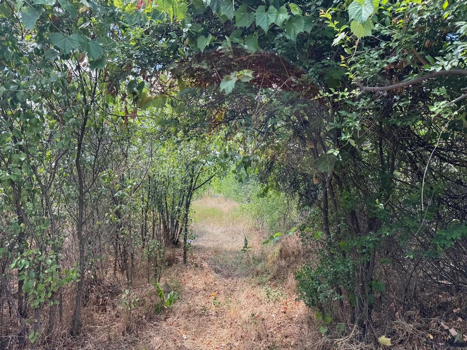 Teren 6,080mp Craiova / Aleea 5 Primaverii