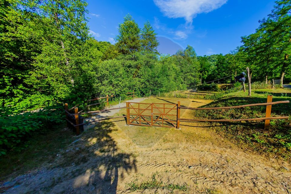 CASA DEOSEBITA DE VANZARE INTRERAURI, COAS