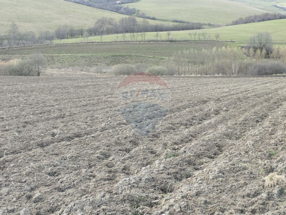 Teren Bodesti / Strada OSLOBENI LANGA MANASTIREA DUMBRAVELE