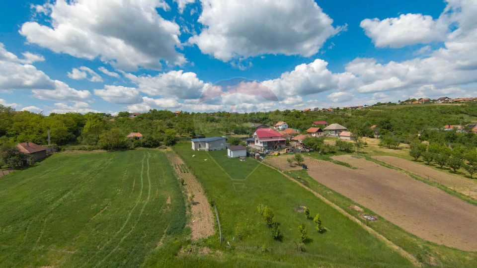 Casă cu 3 camere, anexă și 2042 mp teren de vânzare, în Calea Mare