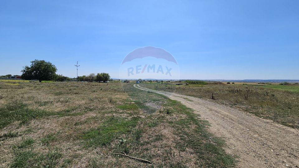 Land 52,115sqm Hutani / DJ DJ291