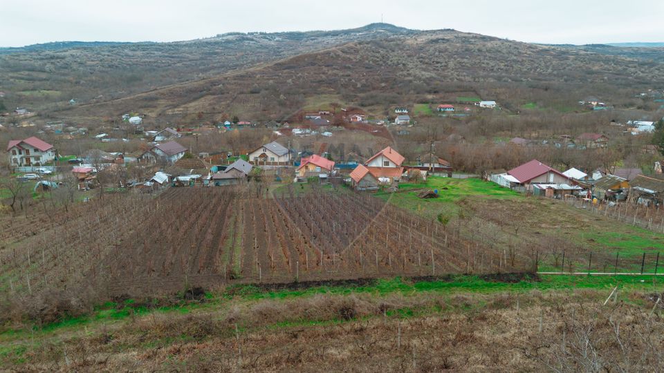 Casă de Om Gospodar - Costuleni - Grădină 2093 mp -0% Comision 0% TVA