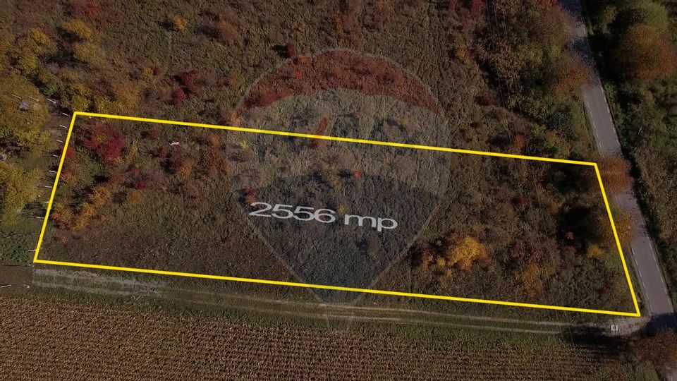 Land 2,556sqm Padureni (Chinteni) / Drumul DC147