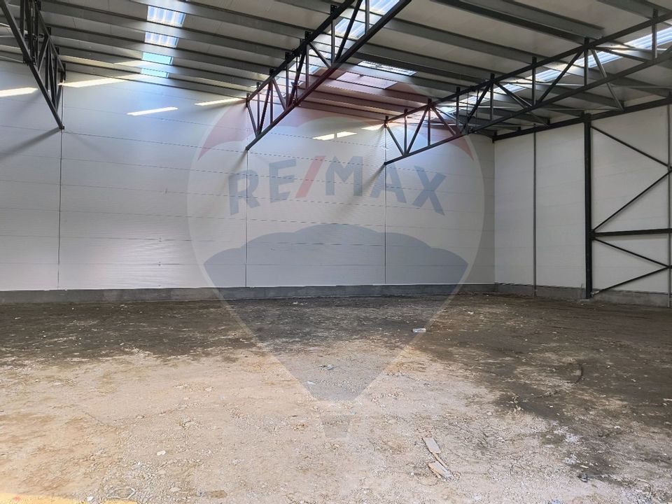 Industrial space: modern hall for sale Theodor Pallady area