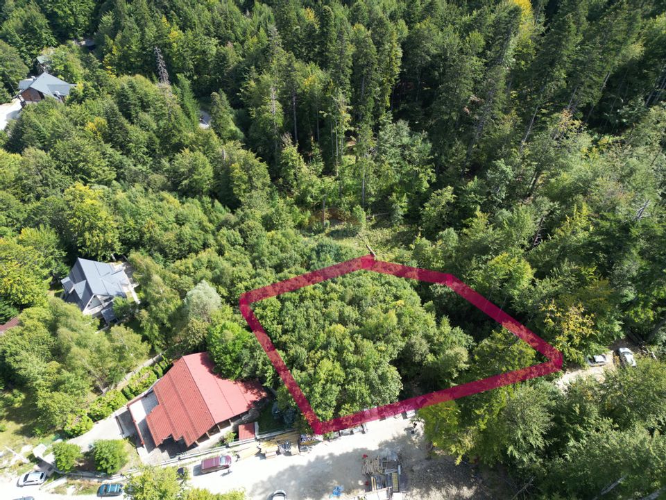 Land 2,244sqm Sinaia / Strada Soimului