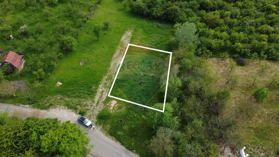 Land 750sqm Baia Mare / Strada Miron Costin