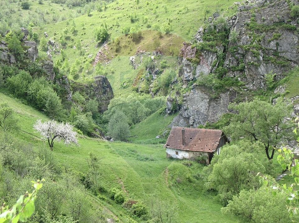 3 room House / Villa for sale