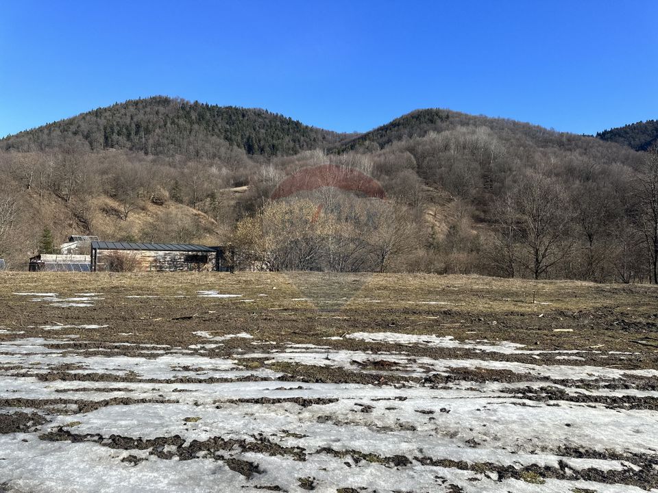 Land 1,340sqm Cuejdiu / Strada Cuejdiului