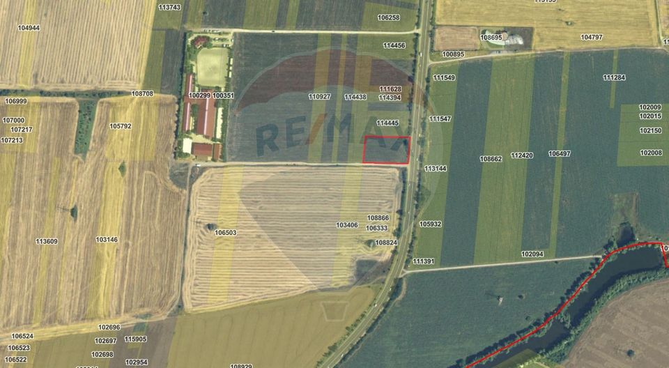Land 4,000sqm Snagov / Drumul tarla 27, parcela 152