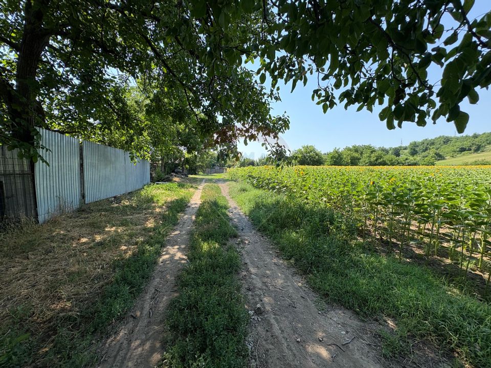 Teren 9,012mp Saucesti / Strada Cireșului