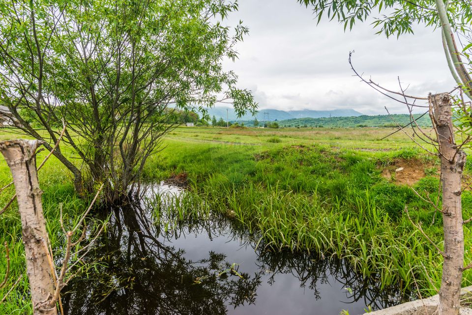 Teren Bran -Sohodol, Strada La mesteceni, 6900mp