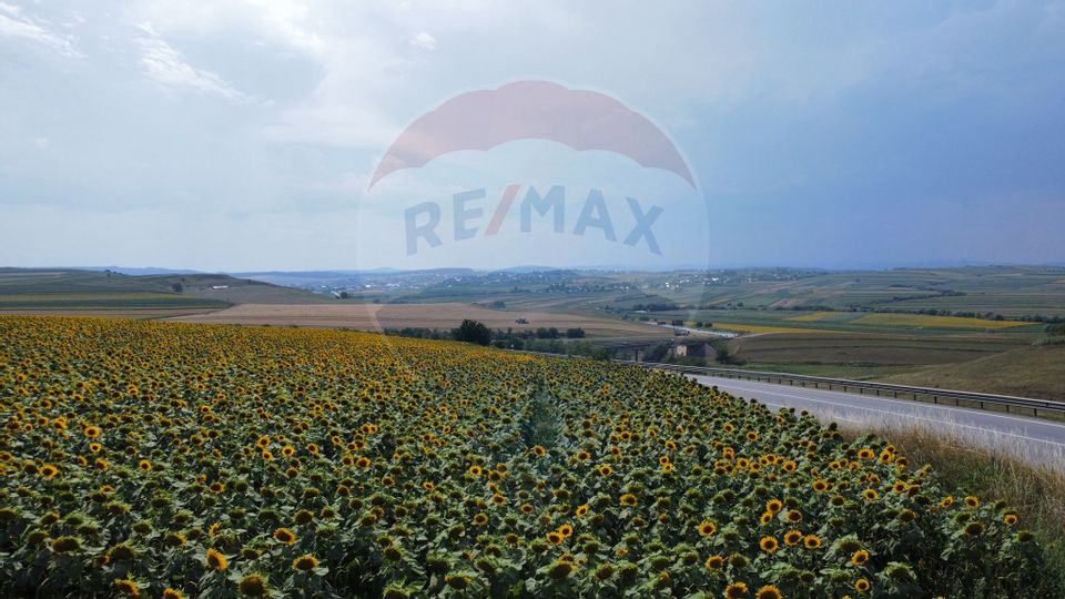 Land 3,500sqm Ilisesti / Strada Principala