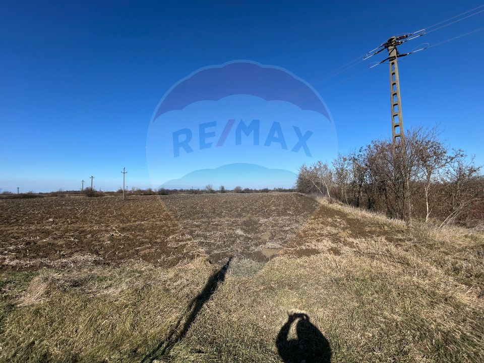 Land 11,502sqm Salonta / Strada Sarcadului