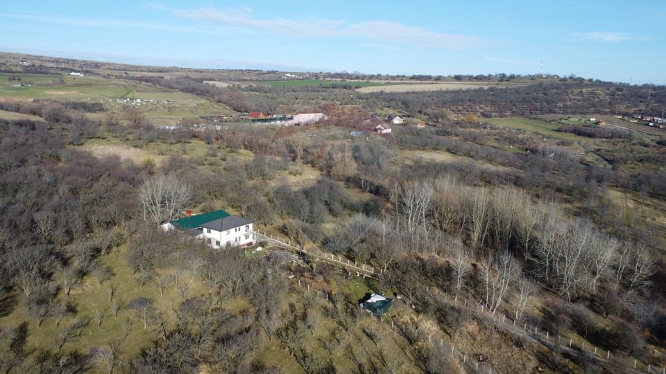 Teren 20.146 mp Dâmbu Rotund (Lomb).Extravilan.Potențial rezidențial