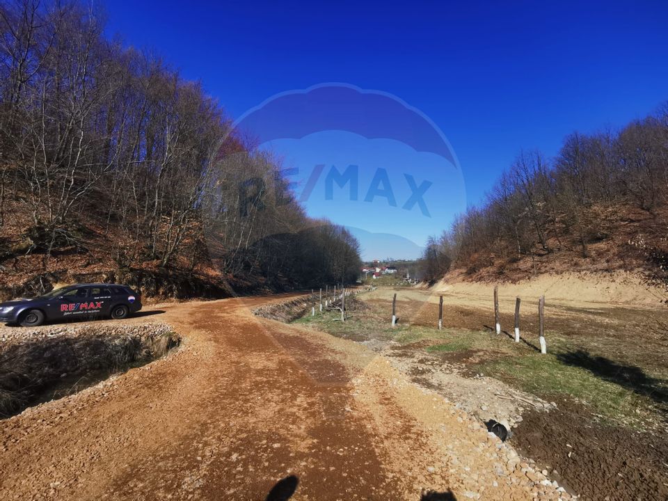 Teren pentru cabană lângă pădure