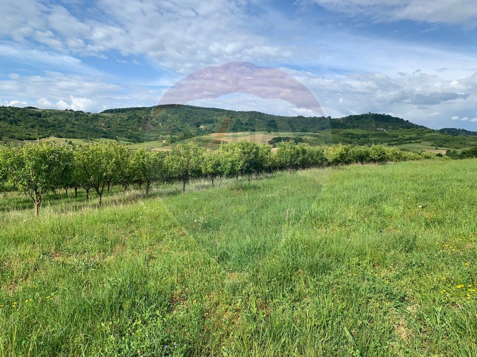 DE VÂNZARE / Livadă / Teren / Cernești