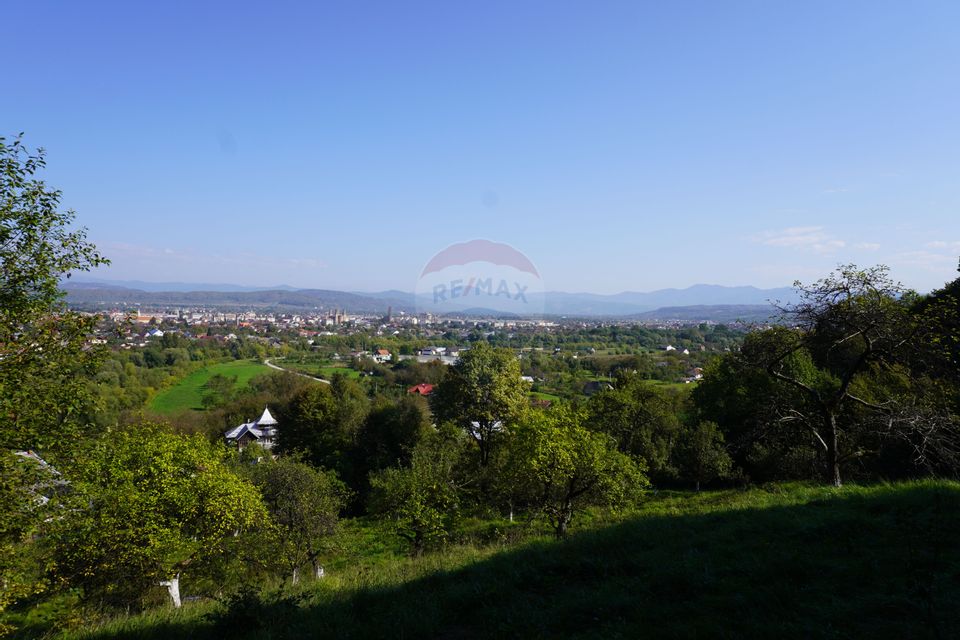 Land 1,000sqm Sighetu Marmatiei / Strada Dealul Cetatii